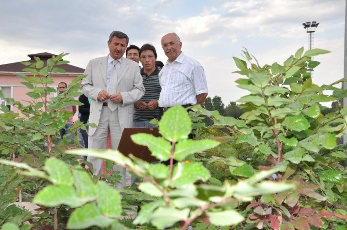 Kütahya\'ya 32 Milyon Fidan