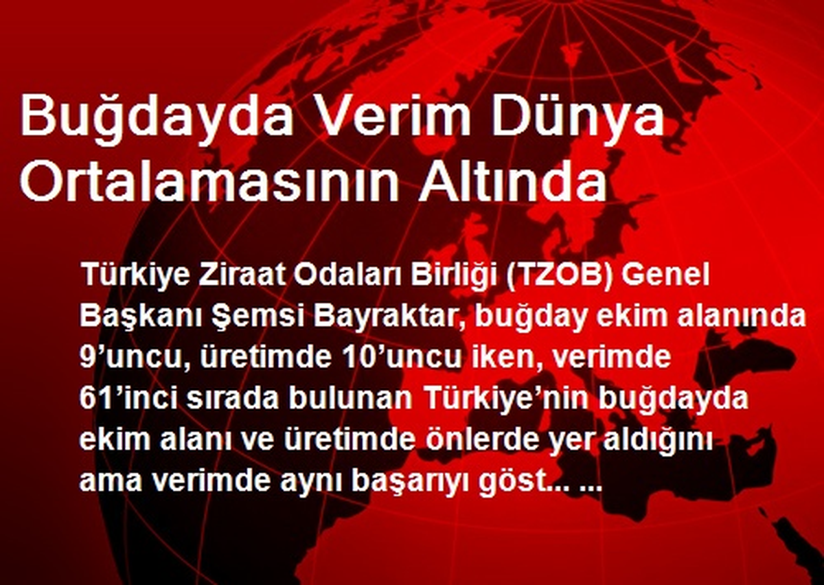 Buğdayda Verim Dünya Ortalamasının Altında