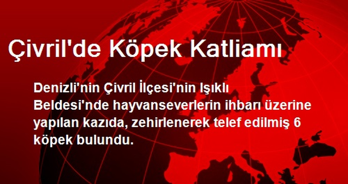 Çivril\'de Köpek Katliamı