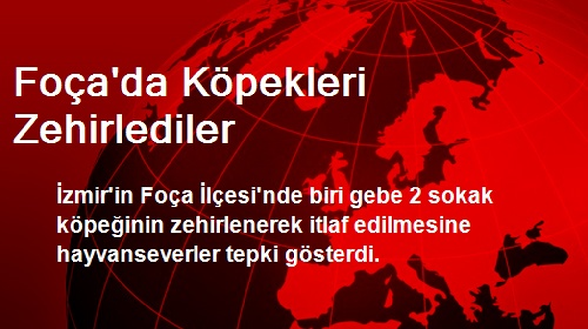 Foça\'da Köpekleri Zehirlediler