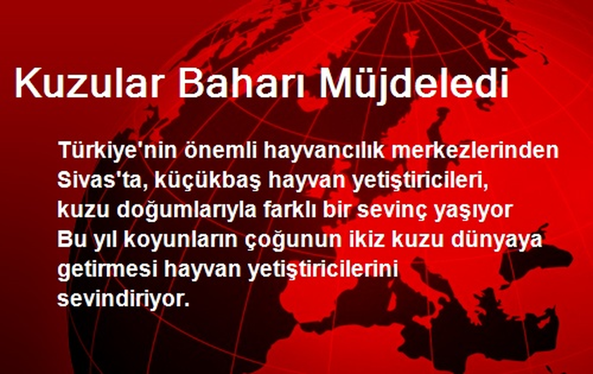 Kuzular Baharı Müjdeledi