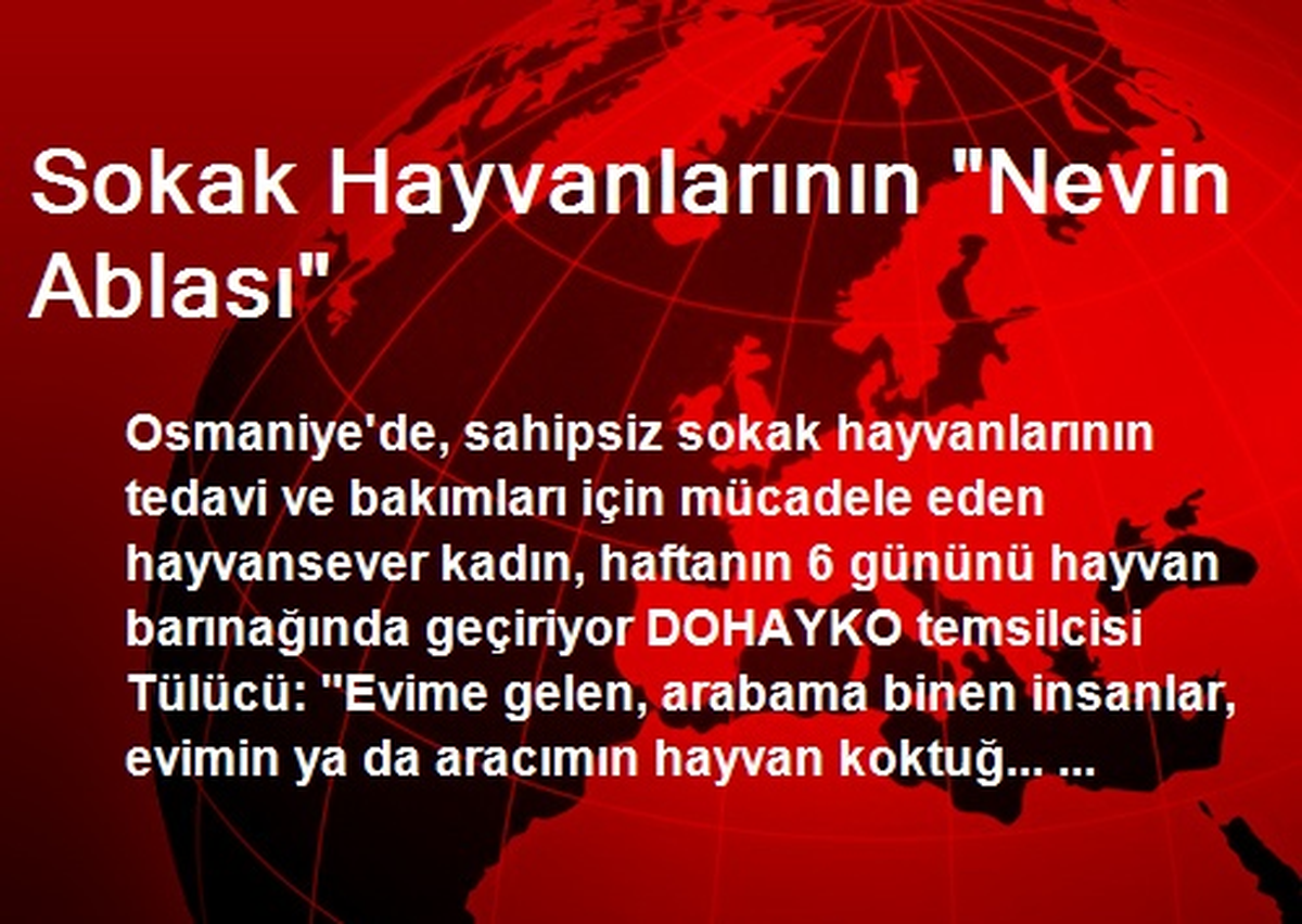 Sokak Hayvanlarının "Nevin Ablası"