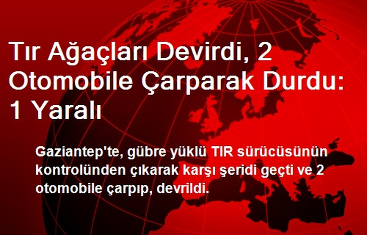 Tır Ağaçları Devirdi, 2 Otomobile Çarparak Durdu: 1 Yaralı