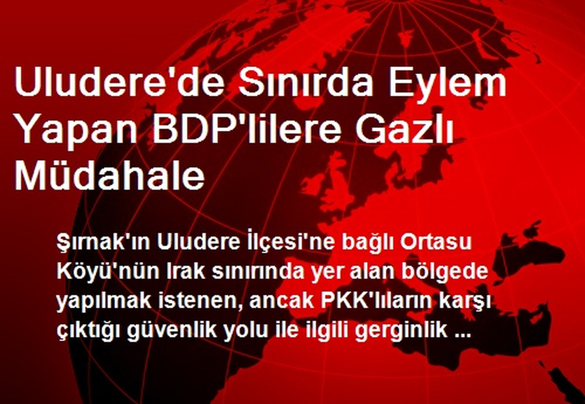 Uludere\'de Sınırda Eylem Yapan BDP\'lilere Gazlı Müdahale