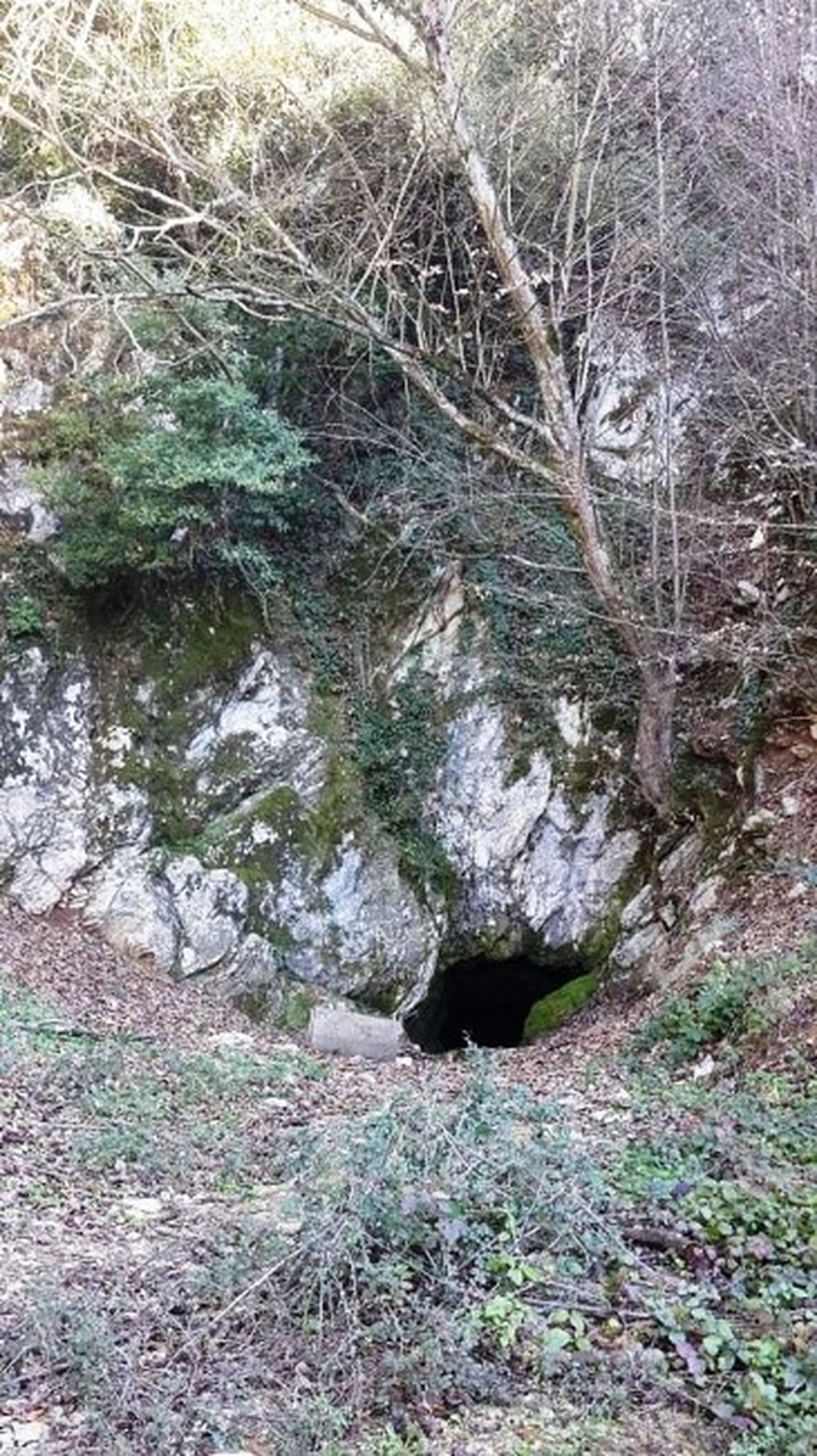Sakarya\'nın Mağara Zenginlikleri Tespit Ediliyor