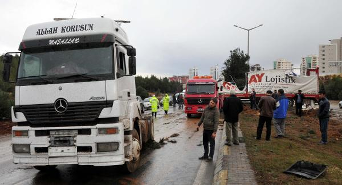 Tır Ağaçları Devirdi, 2 Otomobile Çarparak Durdu 1 Yaralı