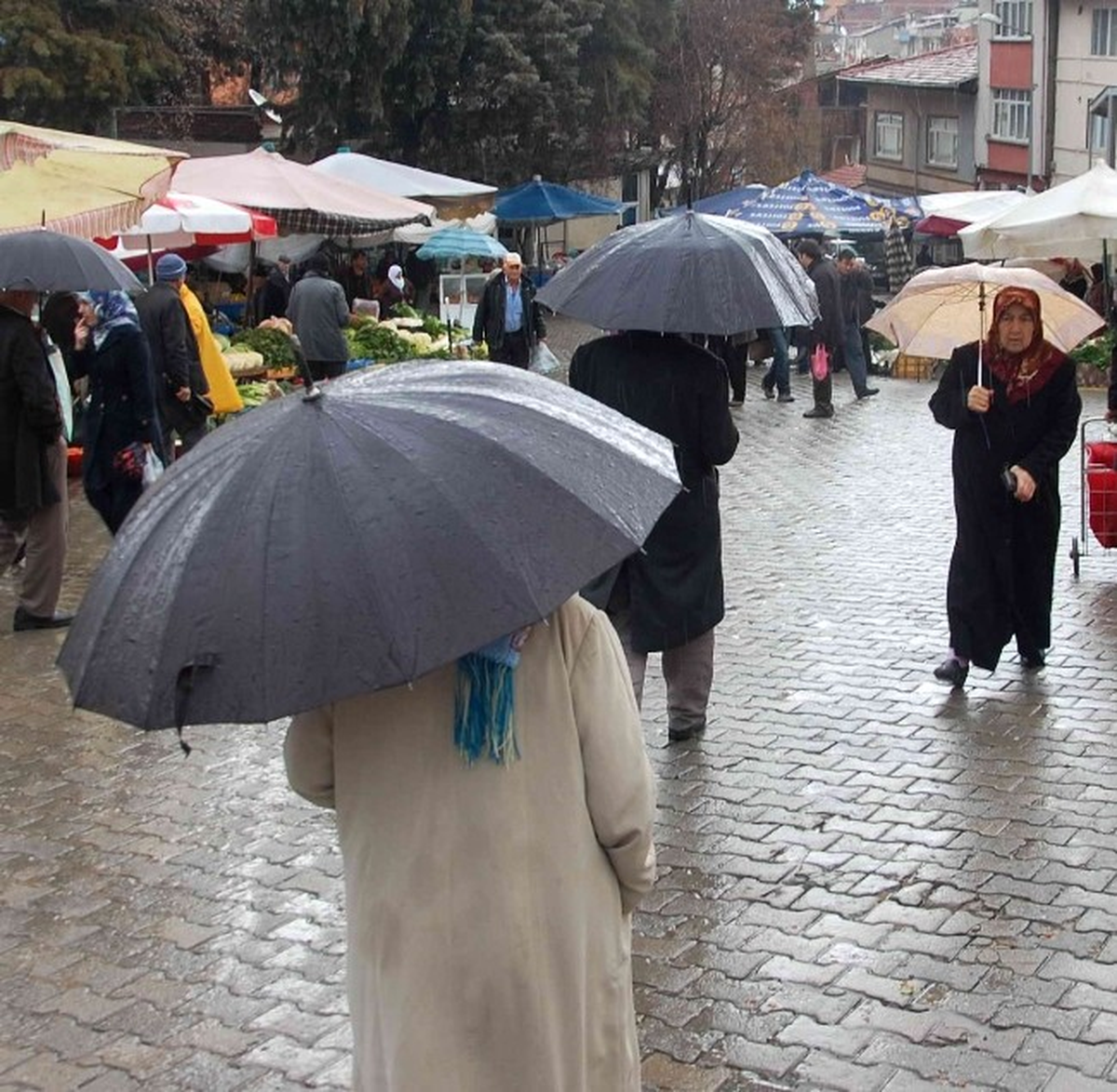 Yağışlar Üreticiyi Sevindirdi