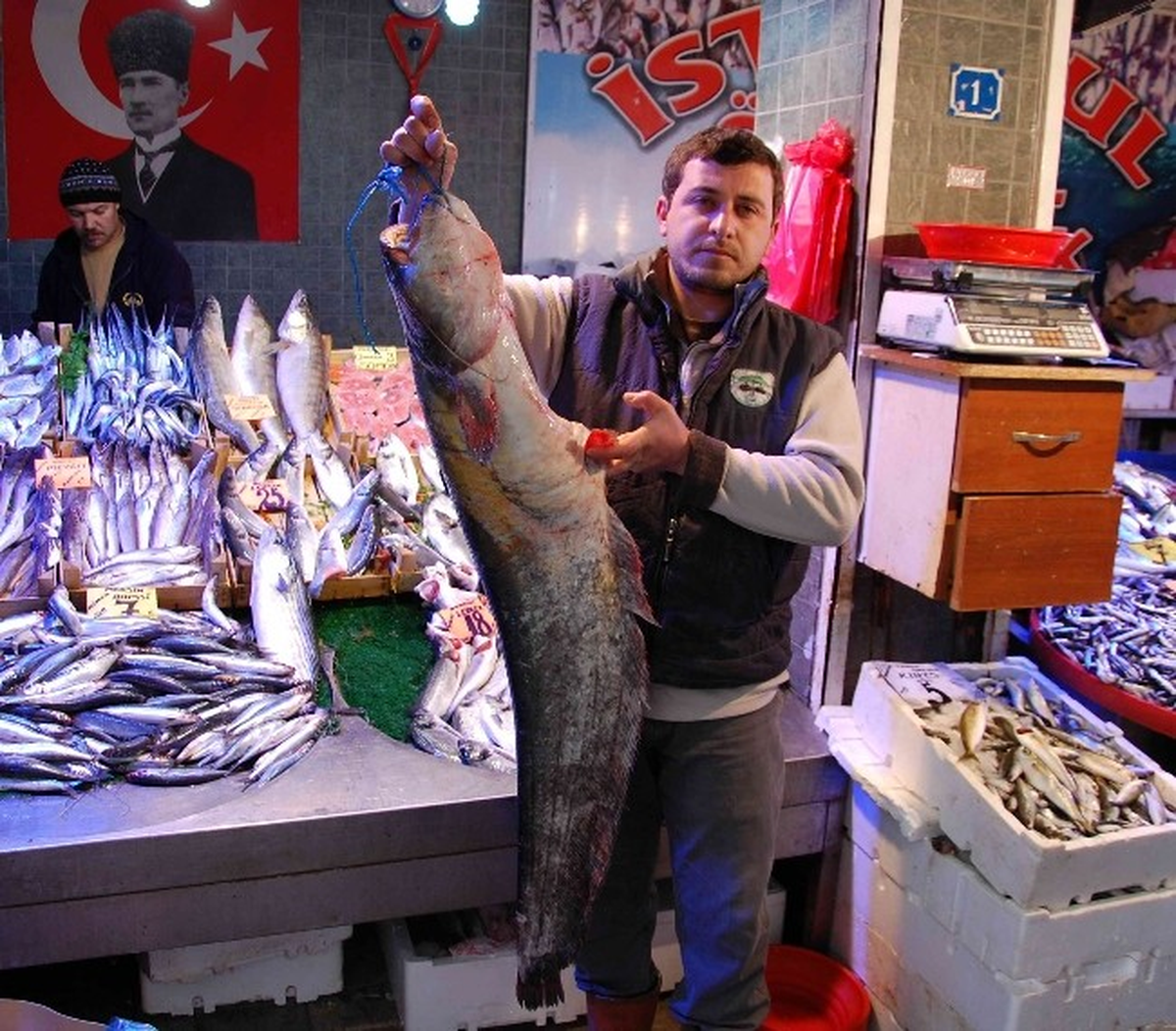 12 Kiloluk Yayın Balığı İlgi Odağı Oldu