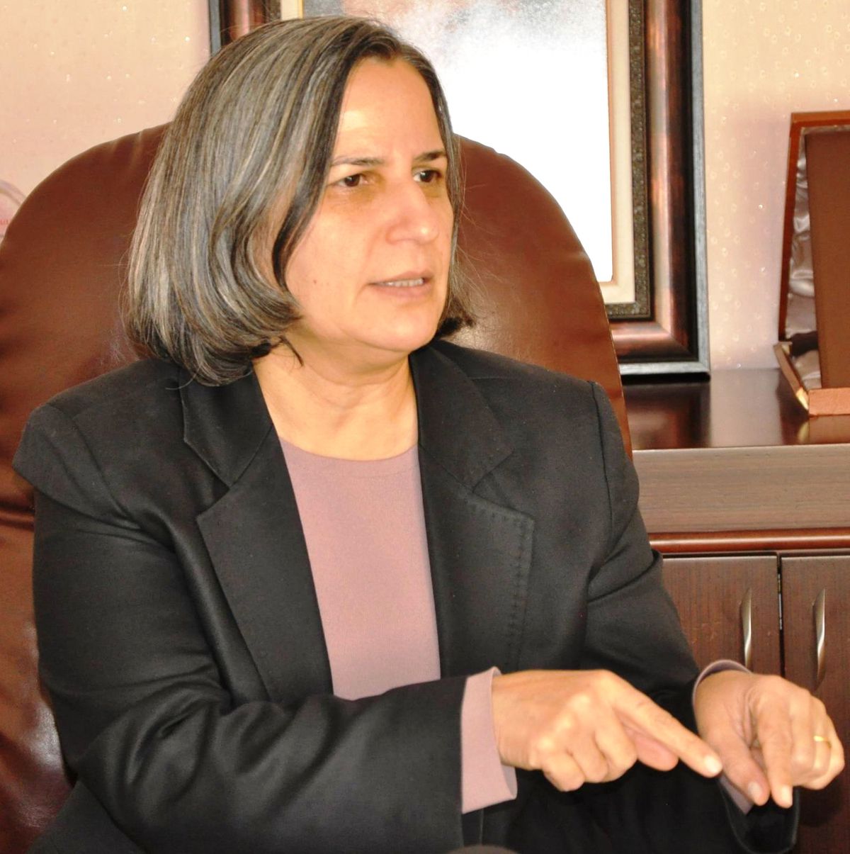BDP Eş Başkan Adayları Kışanak ve Anlı\'dan Ziyaretler