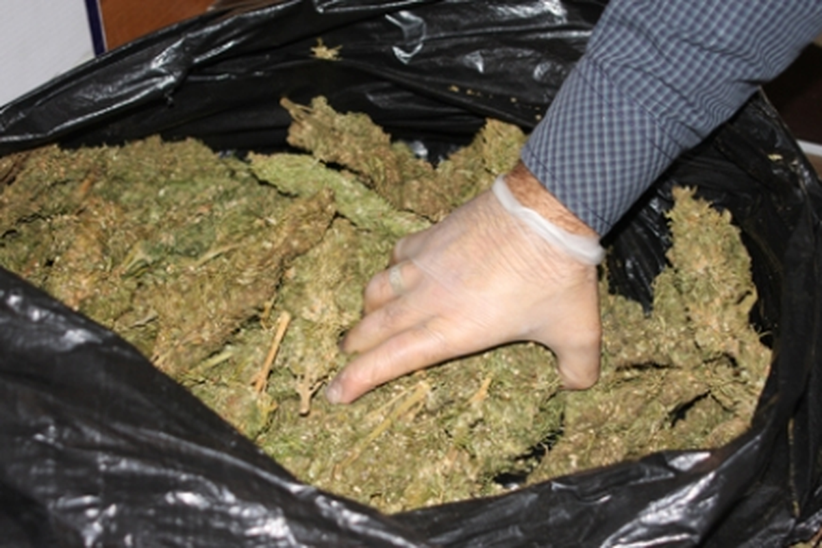 Gaziantep\'te 17 Kilo Esrara 1 Gözaltı