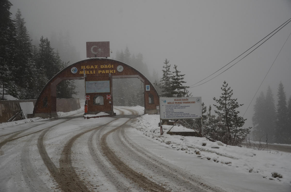 Ilgaz Dağında Kar Yağışı