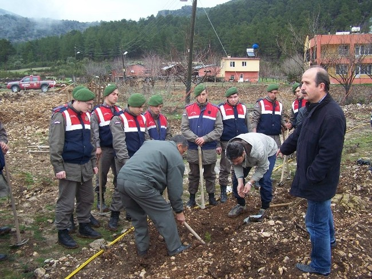 Korkuteli Jandarma 175\'inci Kuruluş Yılı Nedeniyle Hatıra Ormanı Oluşturdu