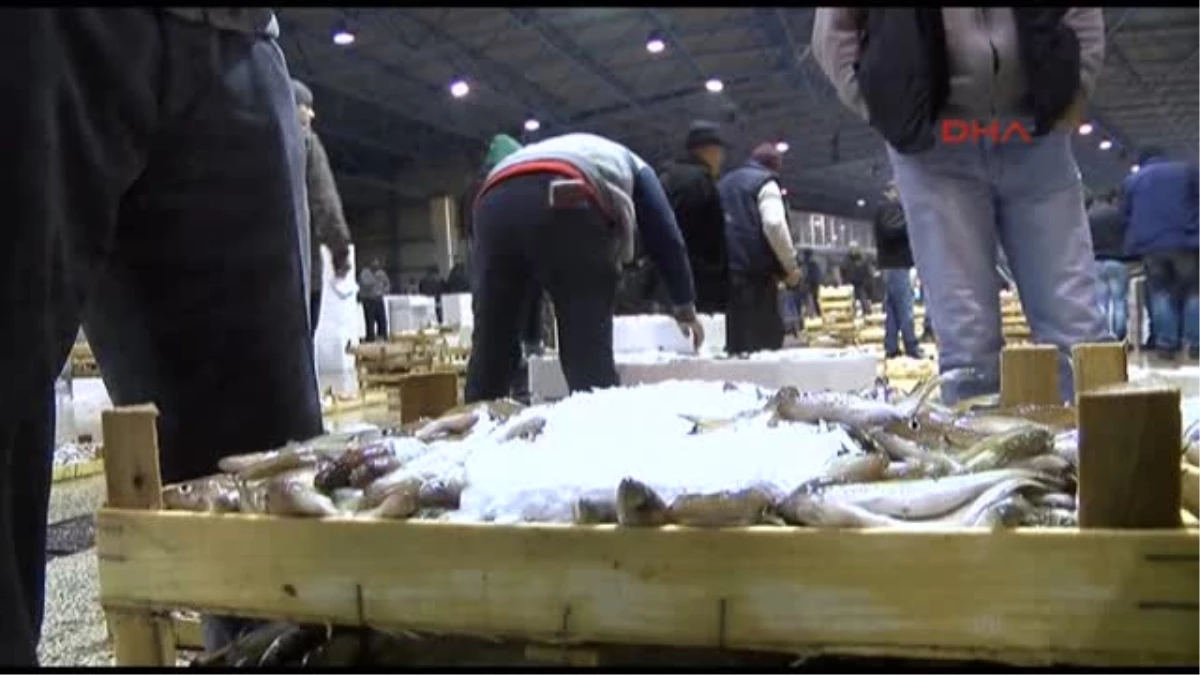 MHP\'li Adaylardan Balık Haline Ziyaret