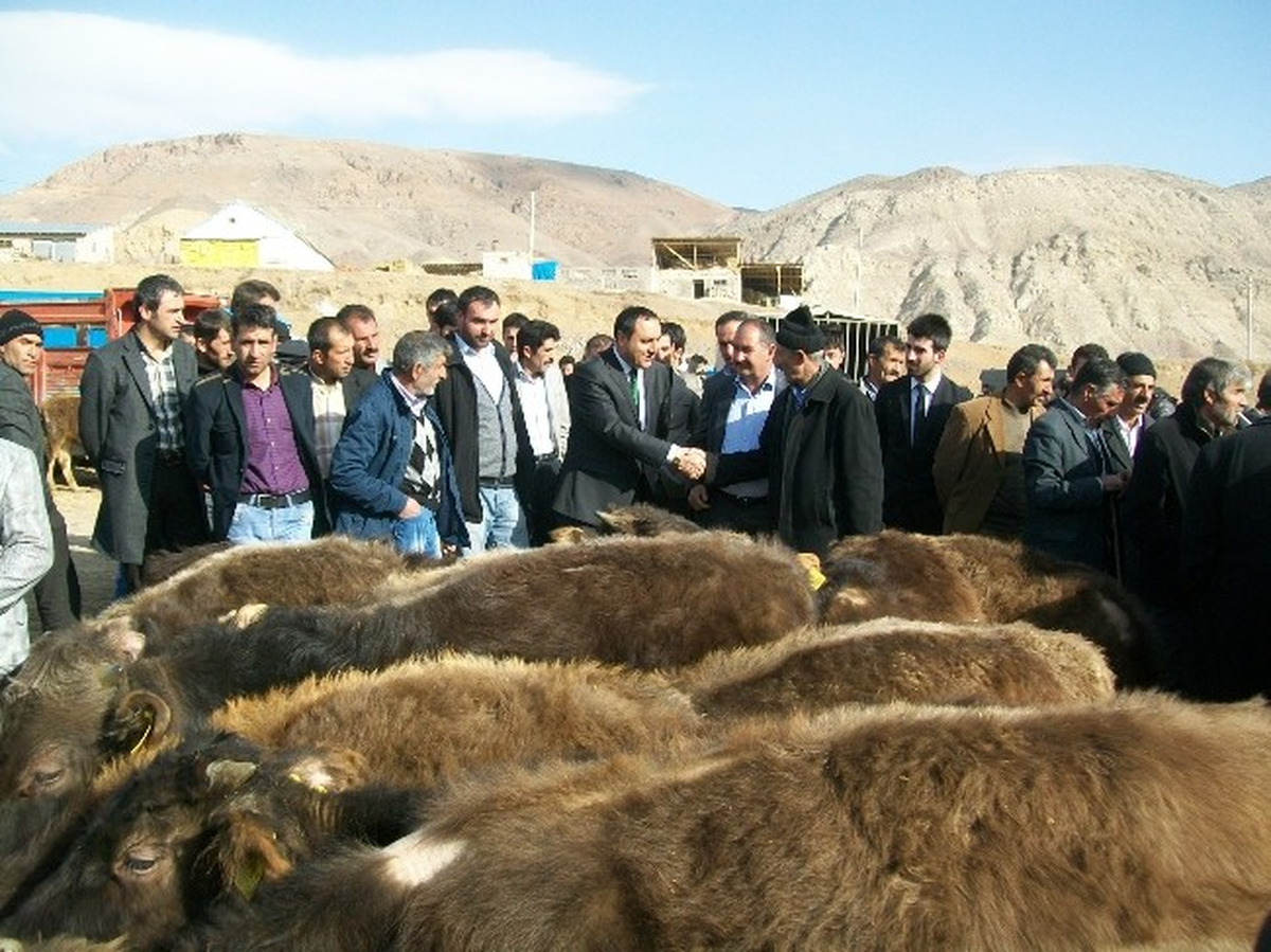 Narman Bağımsız Belediye Başkan Adayı Kınalı, Pazarcıların Sorunlarını Dinledi