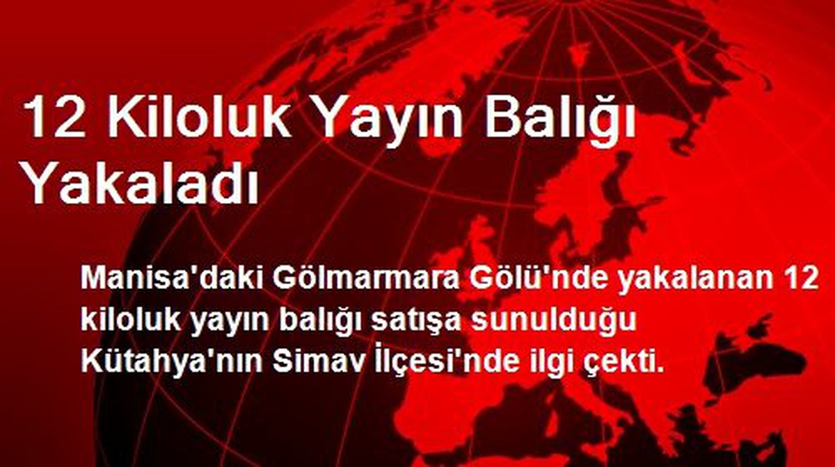 12 Kiloluk Yayın Balığı Yakaladı