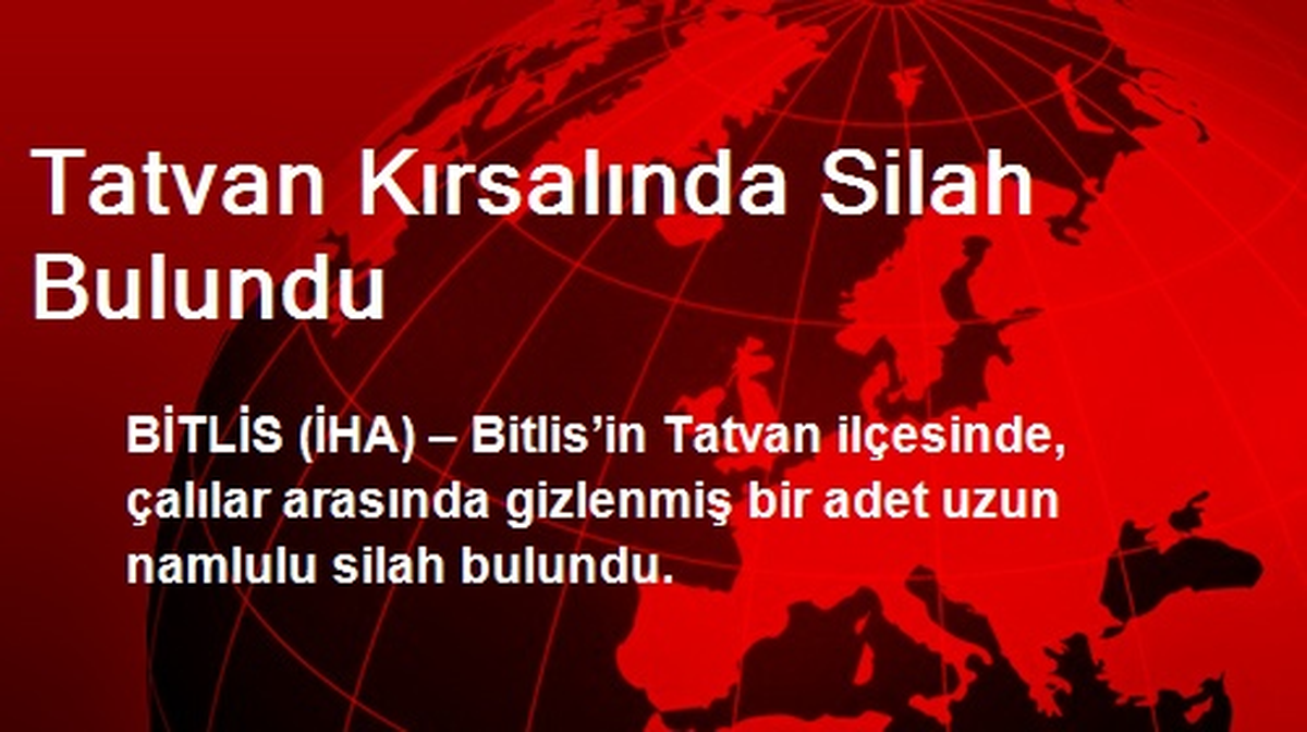 Tatvan Kırsalında Silah Bulundu