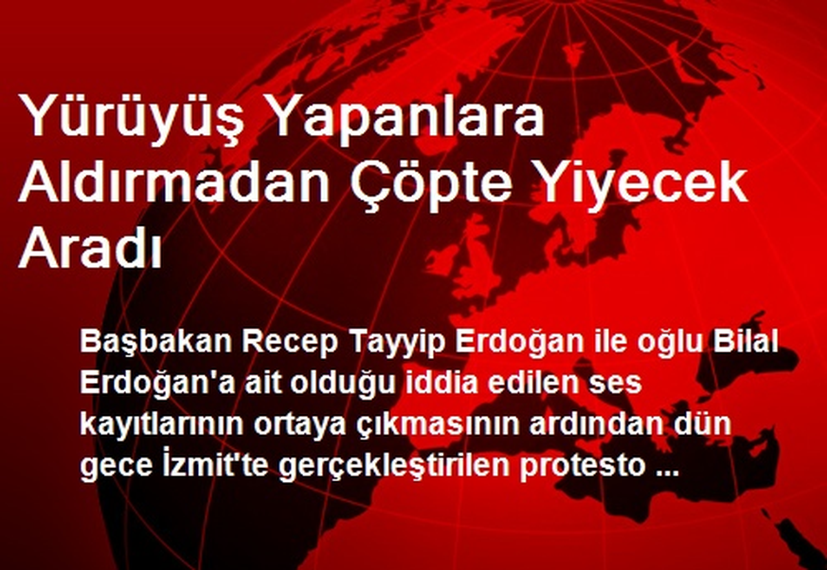 Yürüyüş Yapanlara Aldırmadan Çöpte Yiyecek Aradı