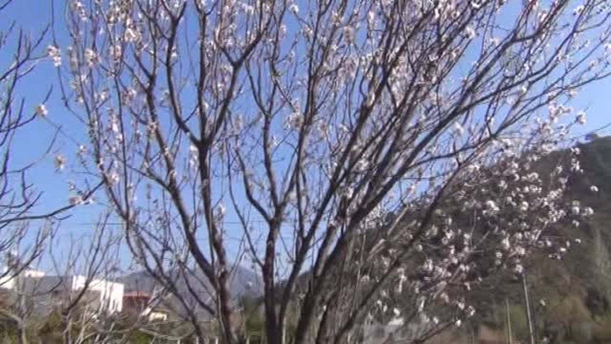 Soğuk hava korkusu -