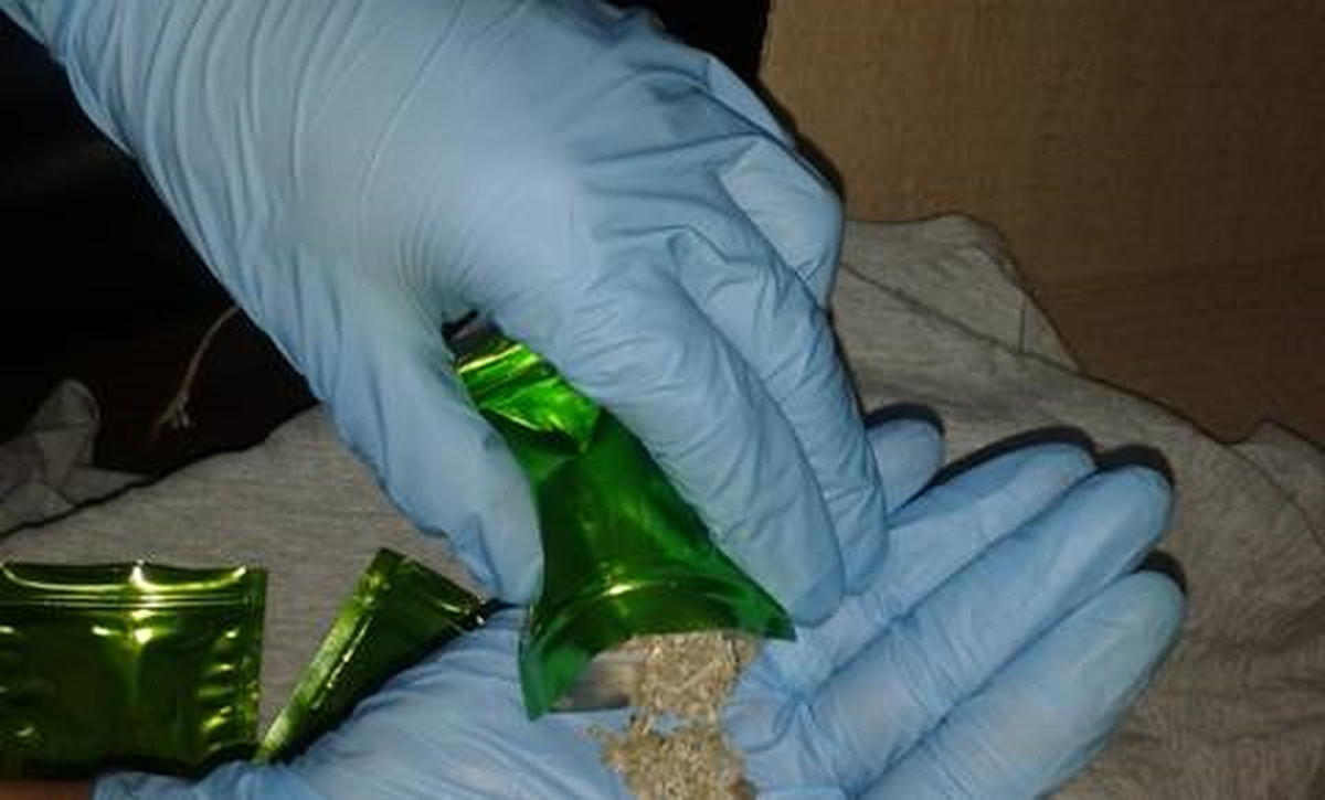 Yolcu Otobüsünde 90 Gram Bonzai Ele Geçirildi