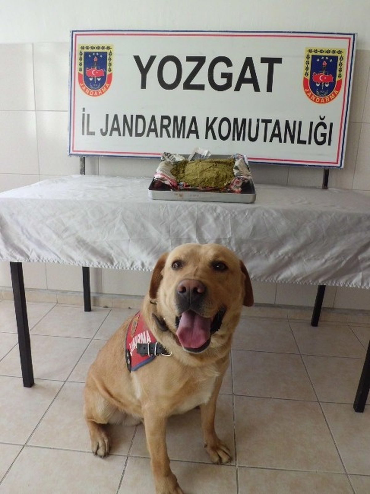 Yozgat\'ta Esrar Operasyonu