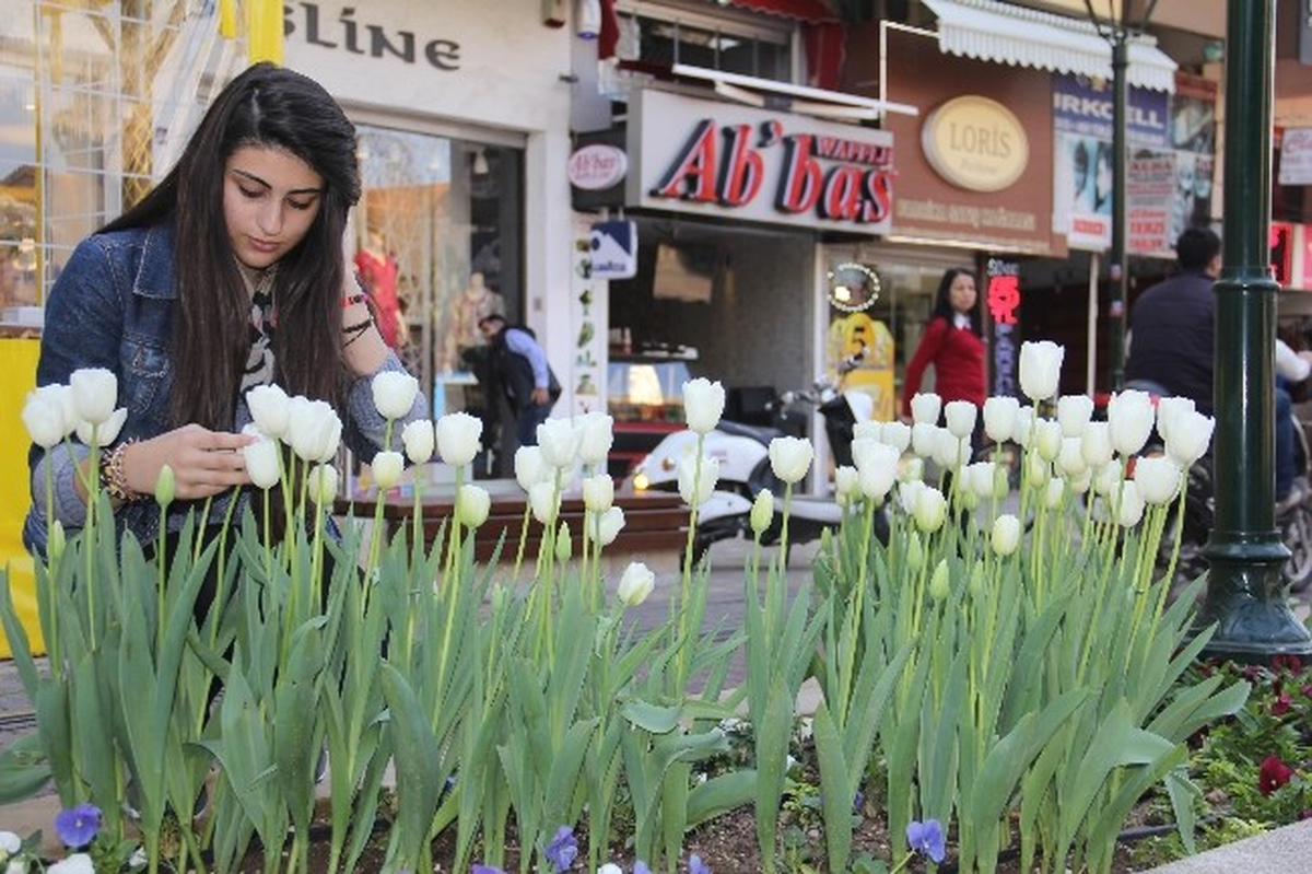 Antalya Sokakları Lale Açtı