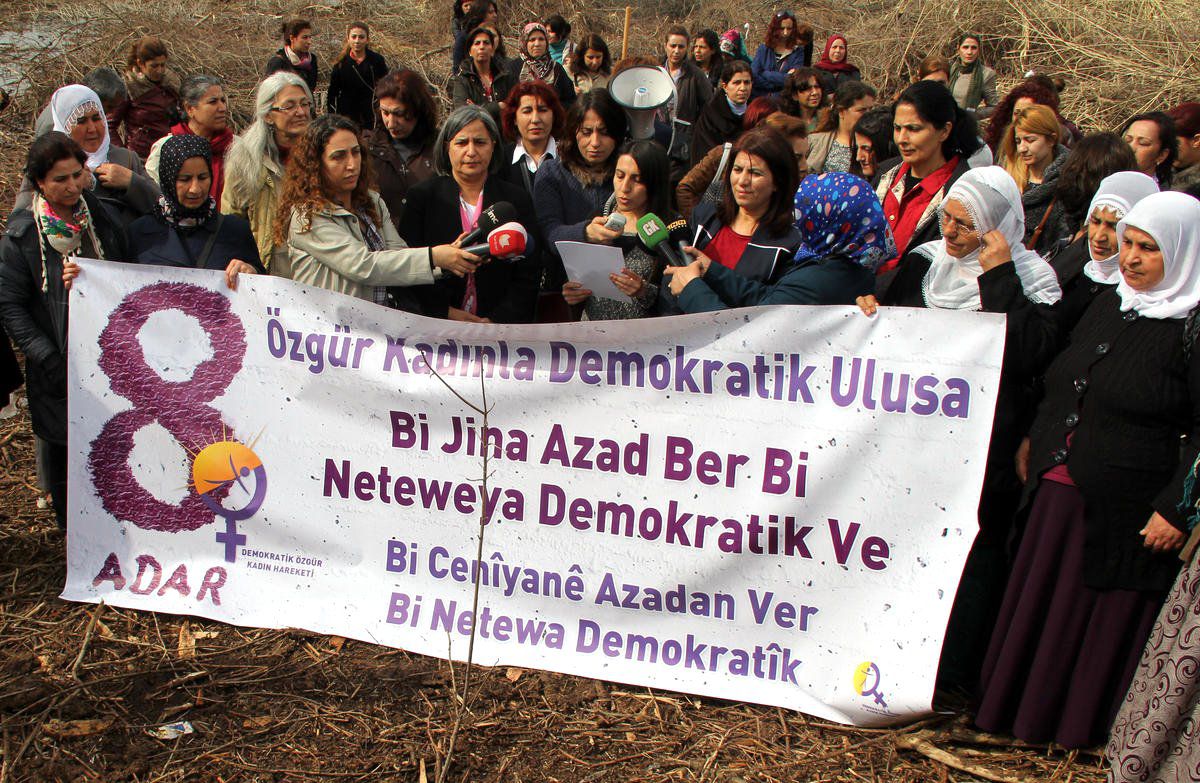 Dü Kampüsündeki Ağaç Kesilmesi