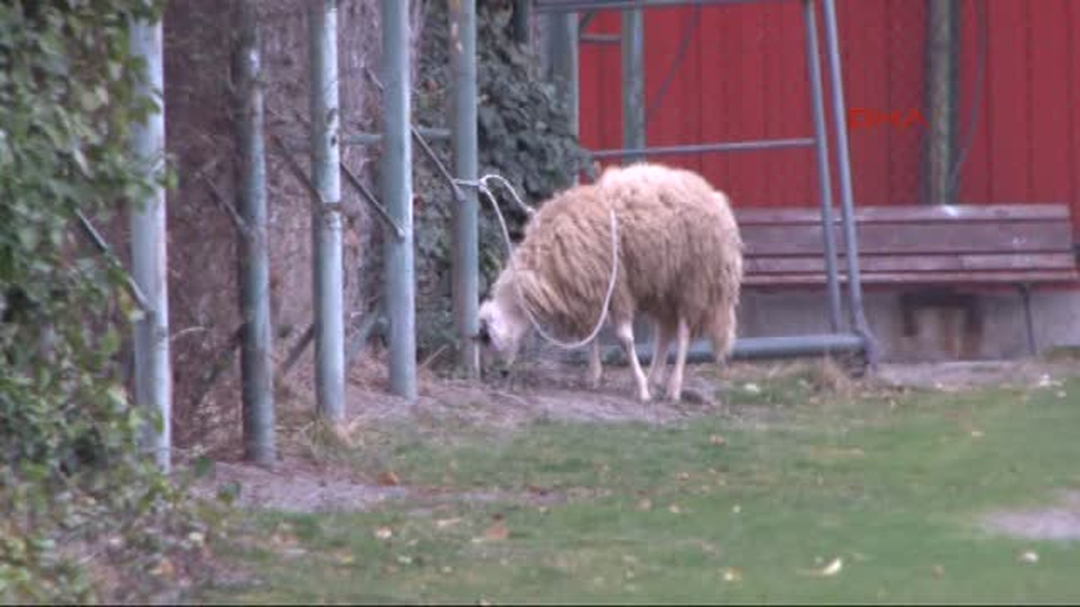 Gençlerbirliği Teknik Direktörü Mehmet Özdilek Kapıları Dış Dünyaya Kapattı