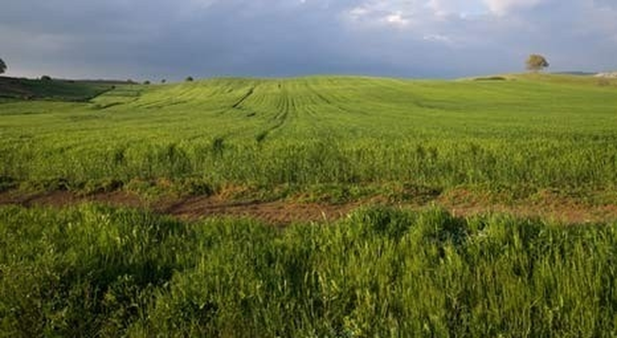 İhaleye Çıkarılan Hazine Arsa ve Arazileri