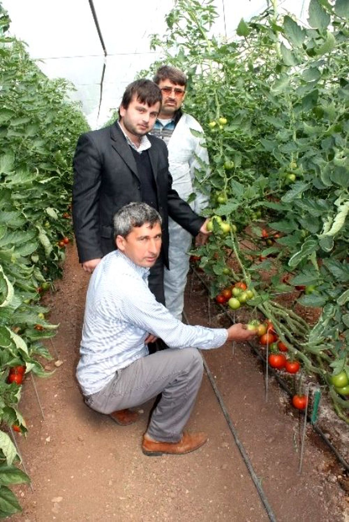 Kınıklı Çiftçiler Kumluca\'daki Fide Tesislerinde İncelemelerde Bulundu