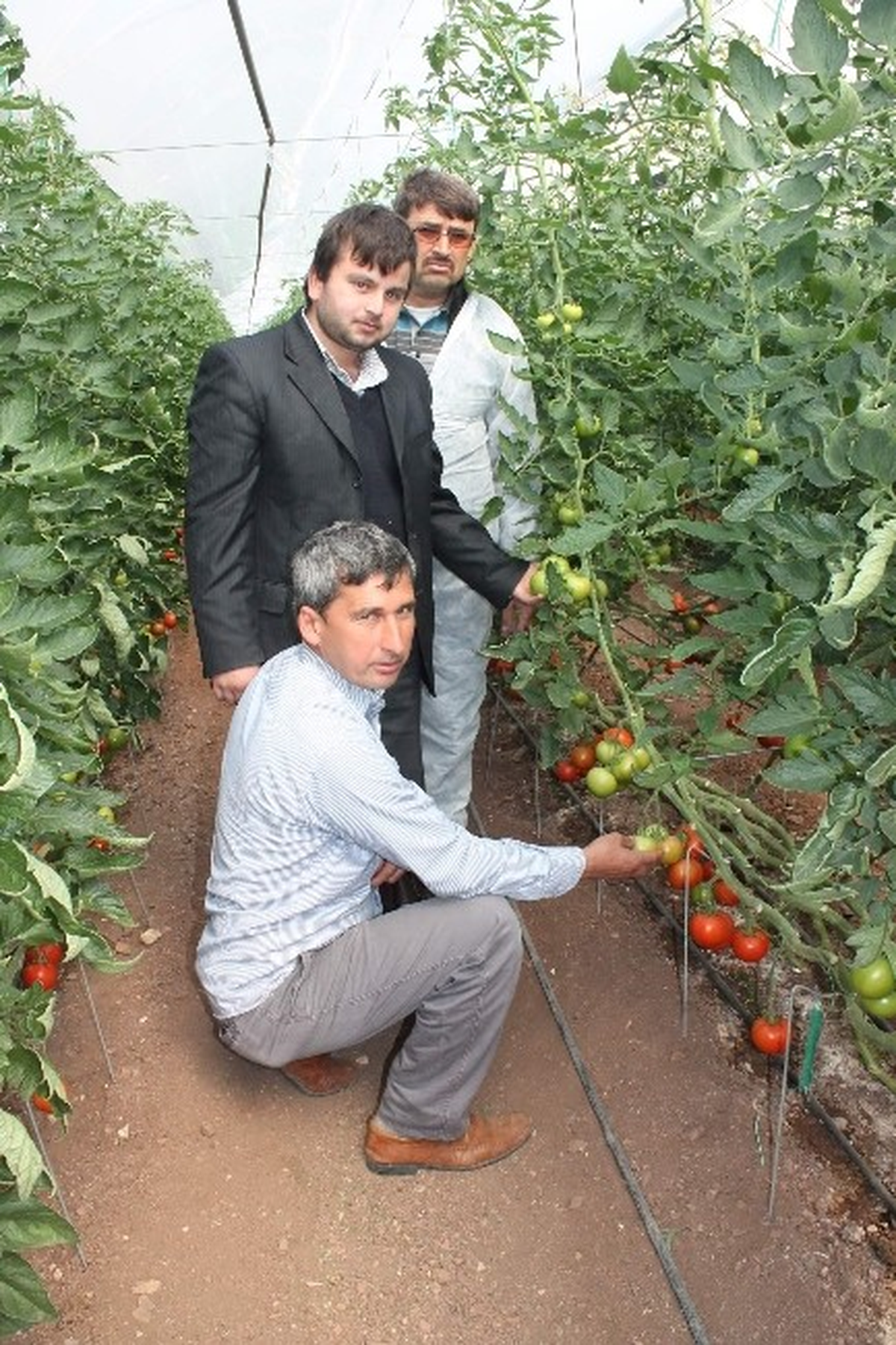 Kaş\'lı Üreticiler Kumluca\'da Fide Tesislerini Gezdi