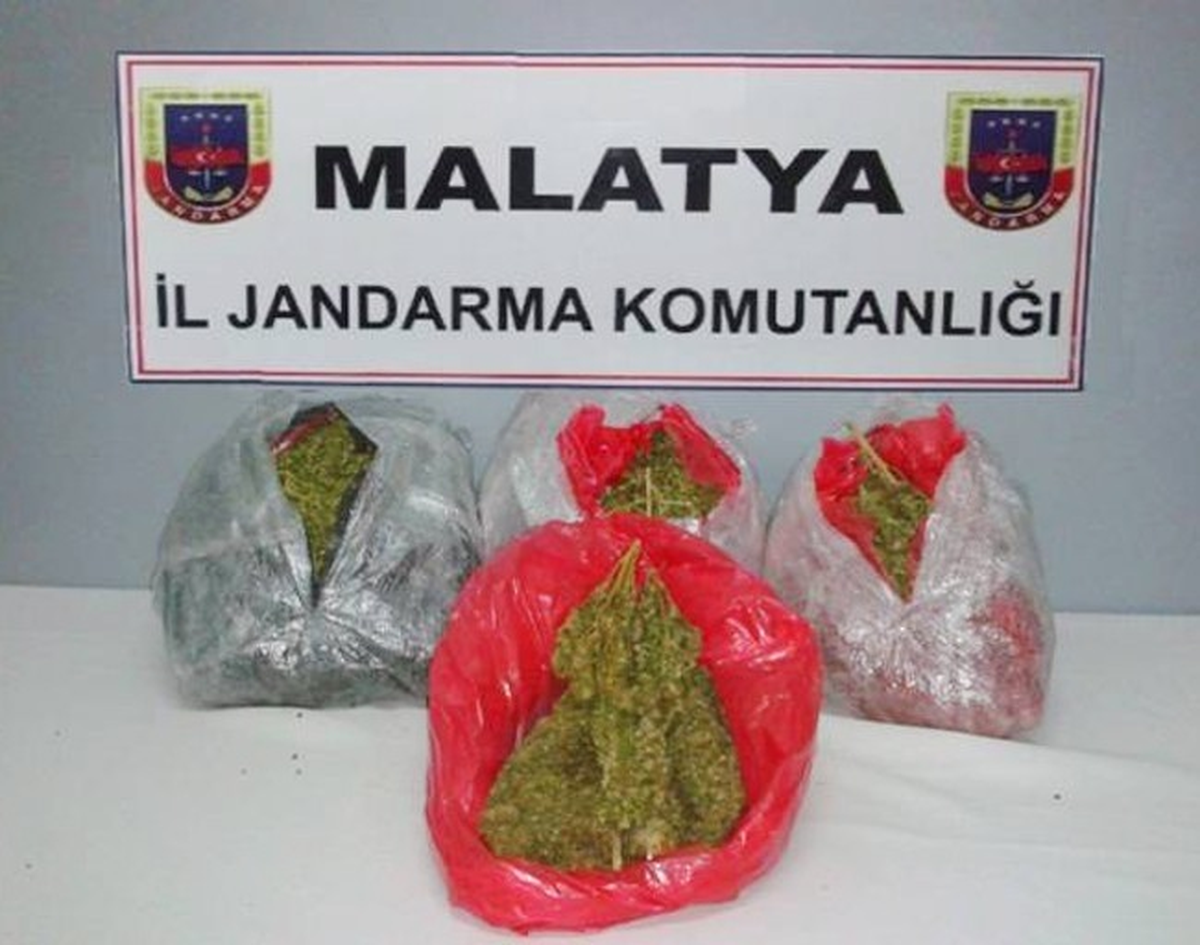 Malatya\'da 10 Kilo Esrar Ele Geçirildi
