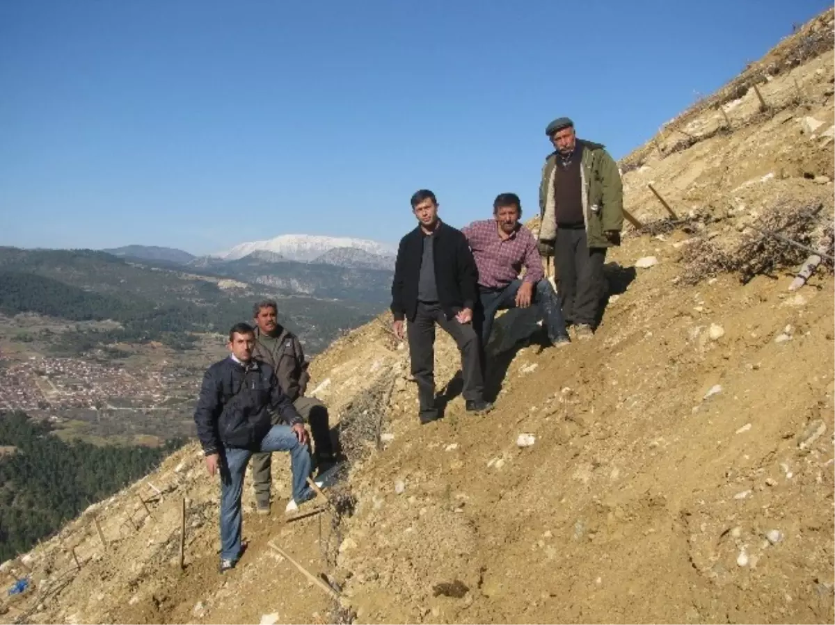 Mermer Ocakları Sahalarında Rehabilitasyon Çalışmaları Başladı