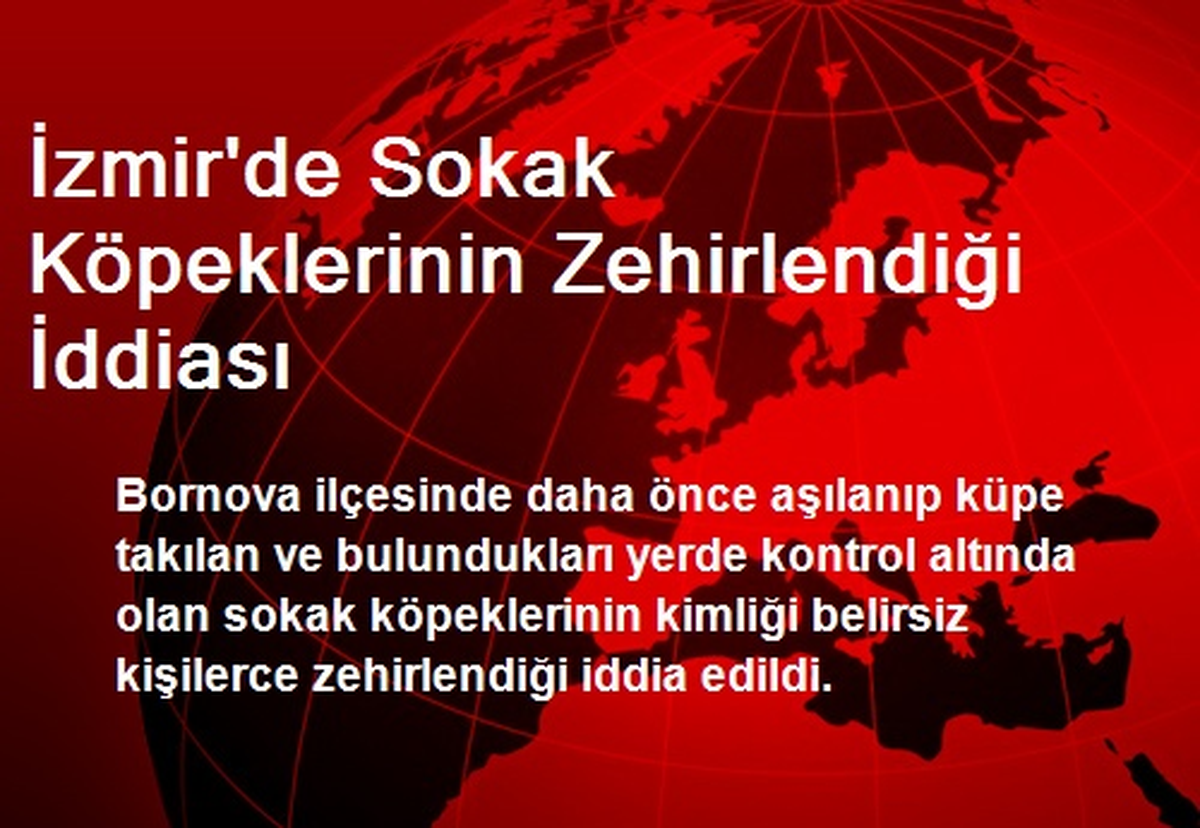 İzmir\'de Sokak Köpekleri Zehirlendi