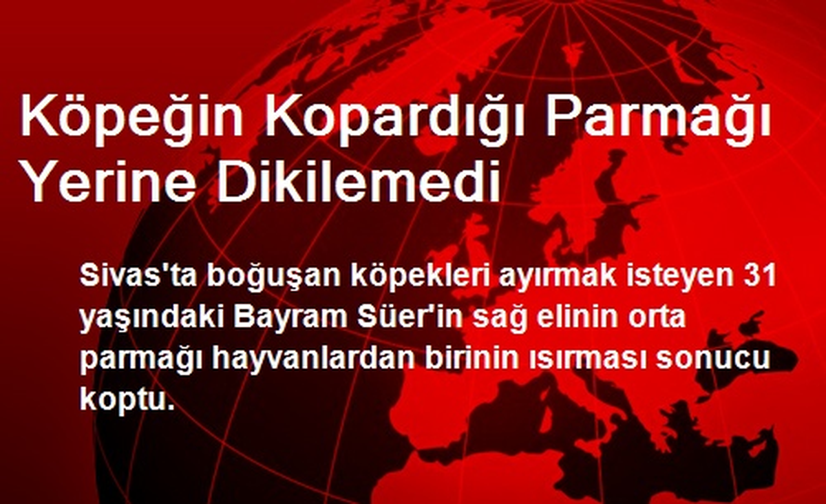Köpeğin Kopardığı Parmağı Yerine Dikilemedi