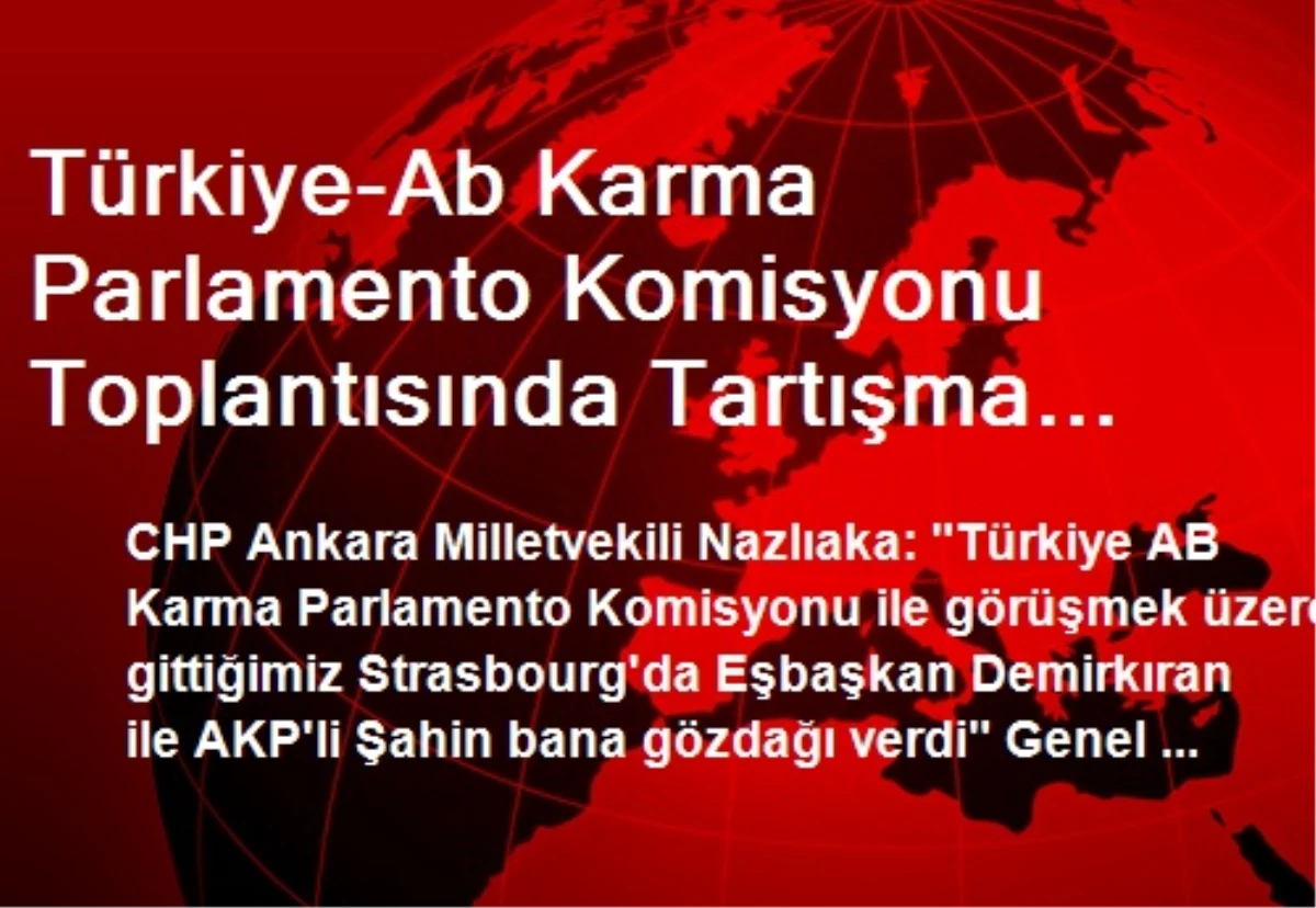 Türkiye-Ab Karma Parlamento Komisyonu Toplantısında Tartışma İddiası