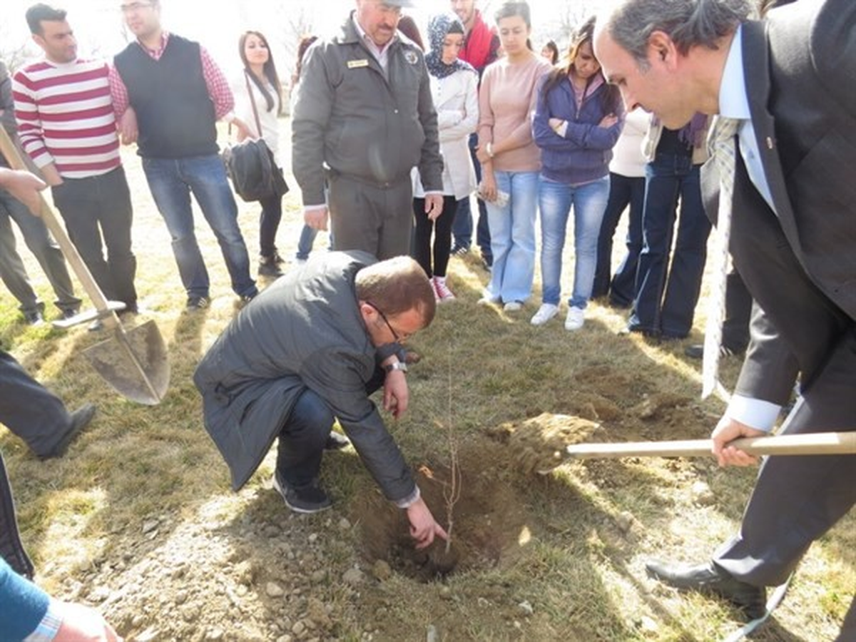Tosya Meslek Yüksek Olununa 400 Fidan Dikildi