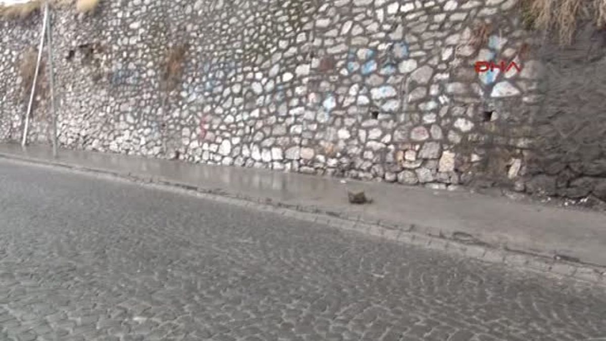 Yolda Yürüyen Kadının Başına Kaya Parçası Düştü