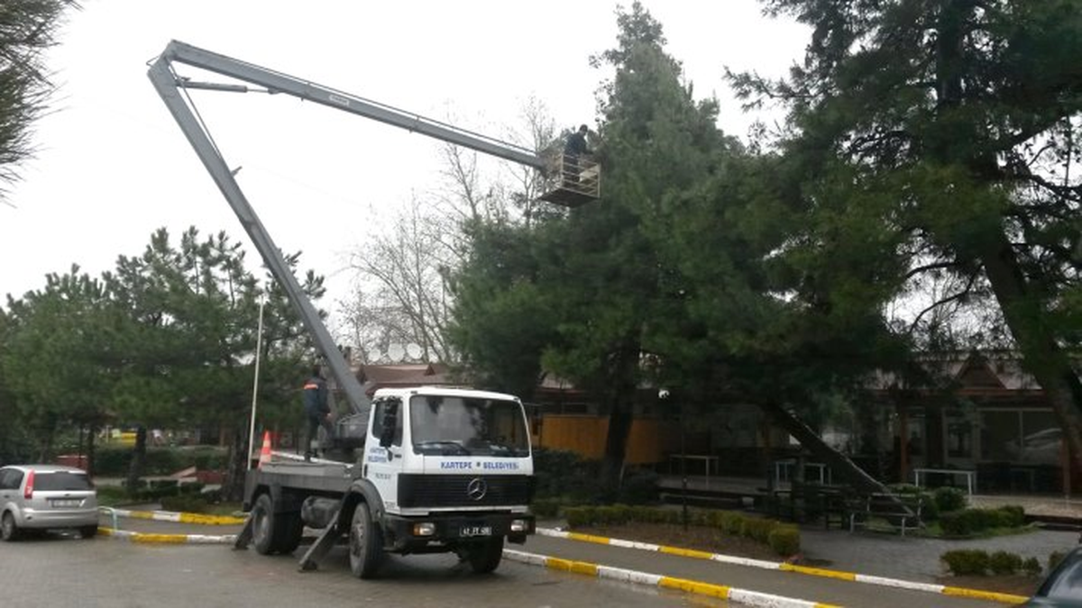 Başkan Kartepe\'de Çam Kese Böceği Temizliği