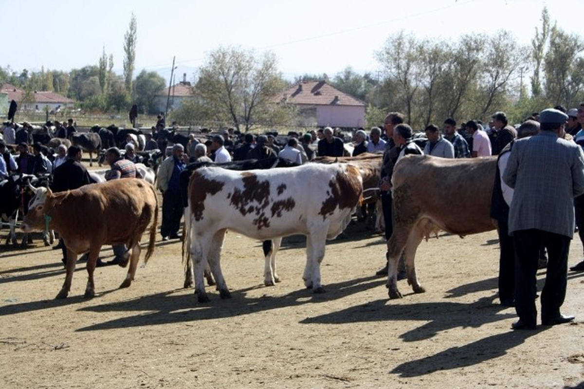 Hayvan Alım Satımında Yeni Dönem