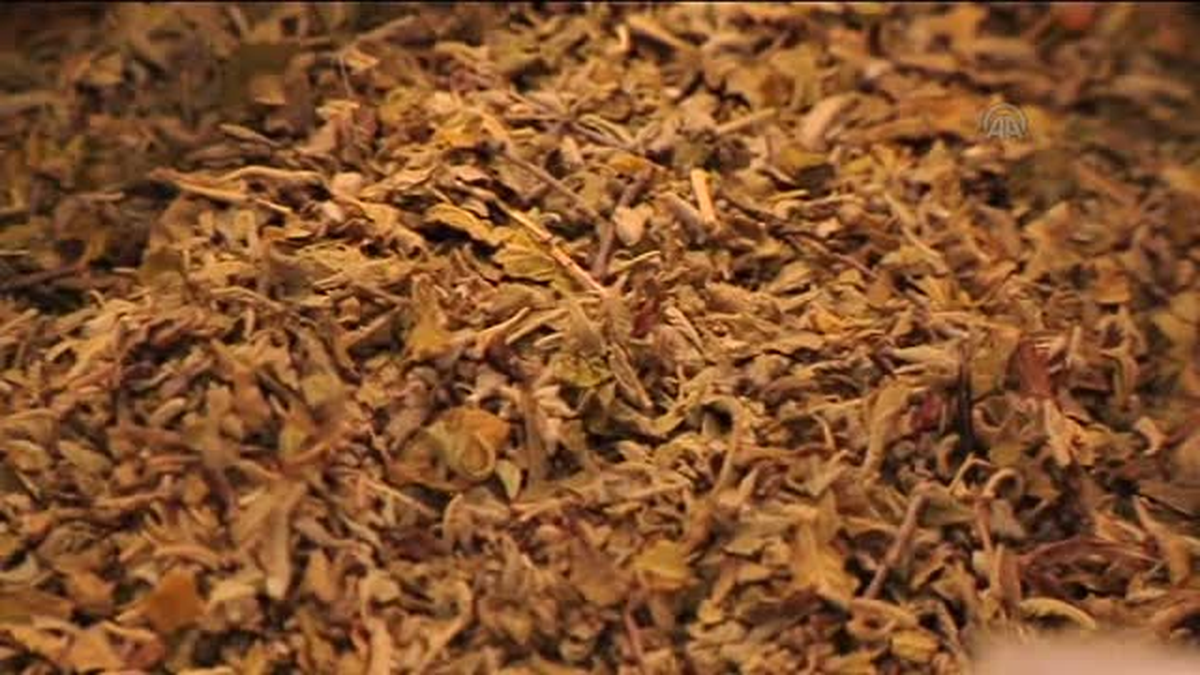 Kadıköy\'de 10 Kilogram Bonzai Ele Geçirildi