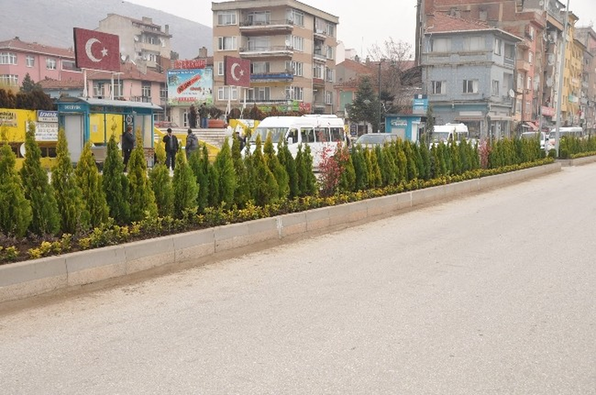 Köhne Beton Duvarların Yerini Yemyeşil Bitkiler Aldı