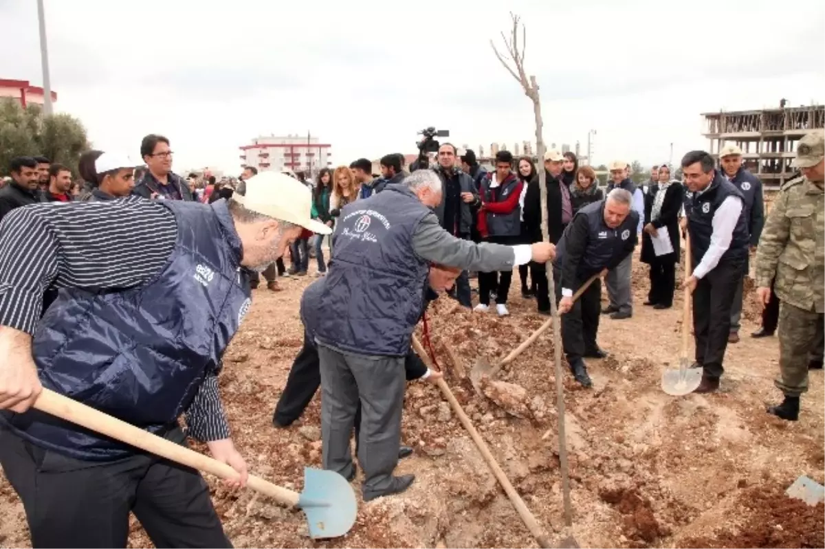 Oğuzeli Meslek Yüksekokulu\'nda Her Öğrencinin Bir Ağacı Var