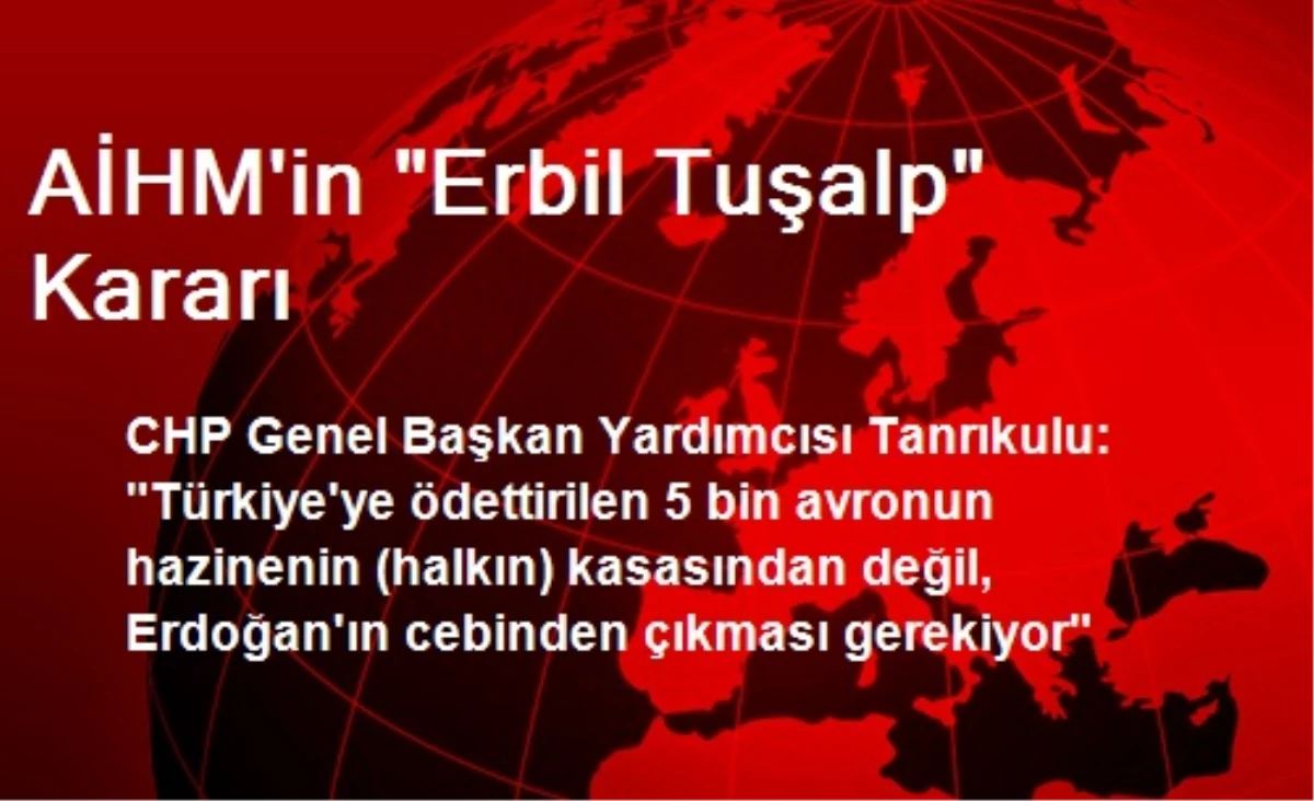 AİHM\'in "Erbil Tuşalp" Kararı