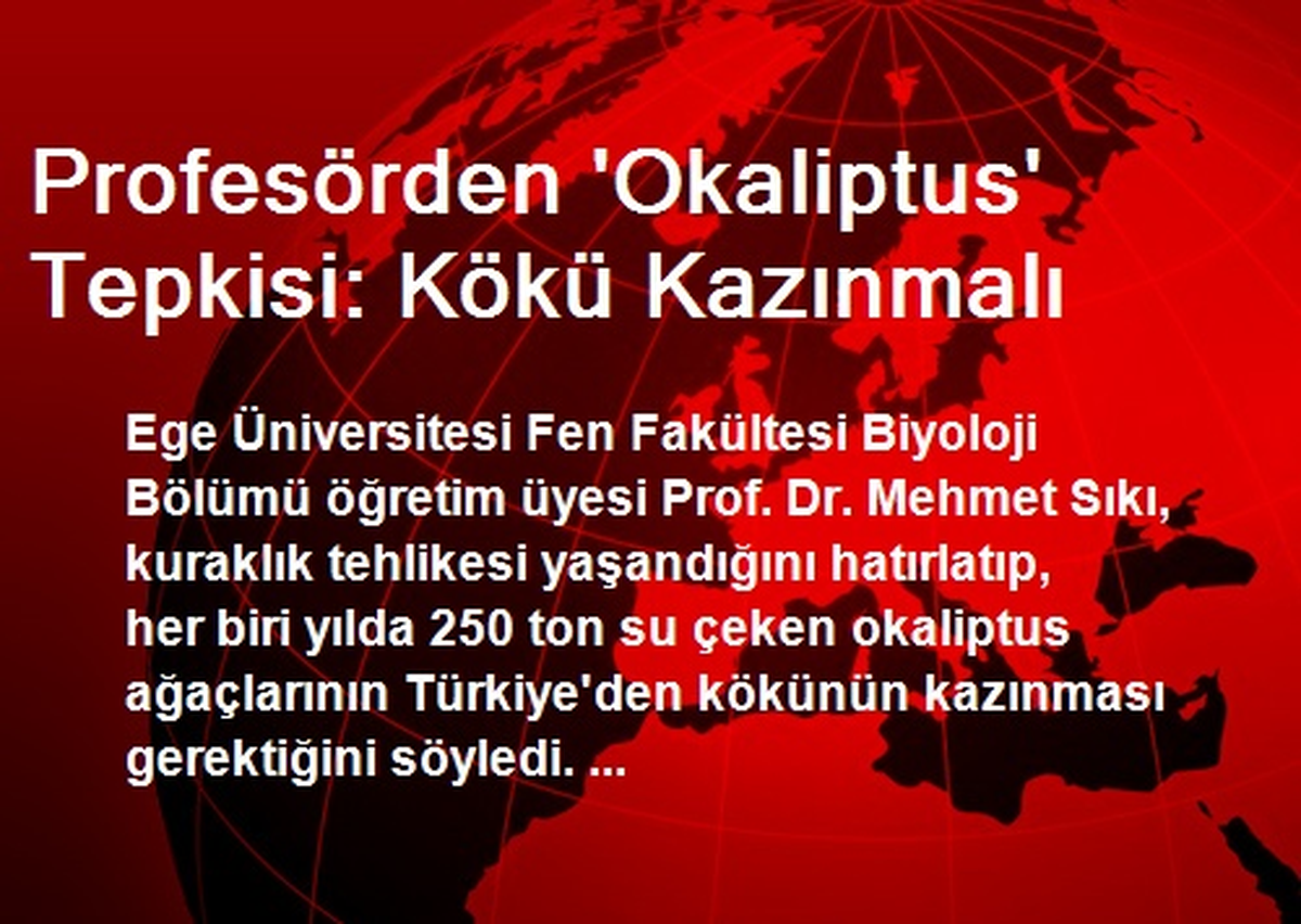 Profesörden \'Okaliptus\' Tepkisi: Kökü Kazınmalı