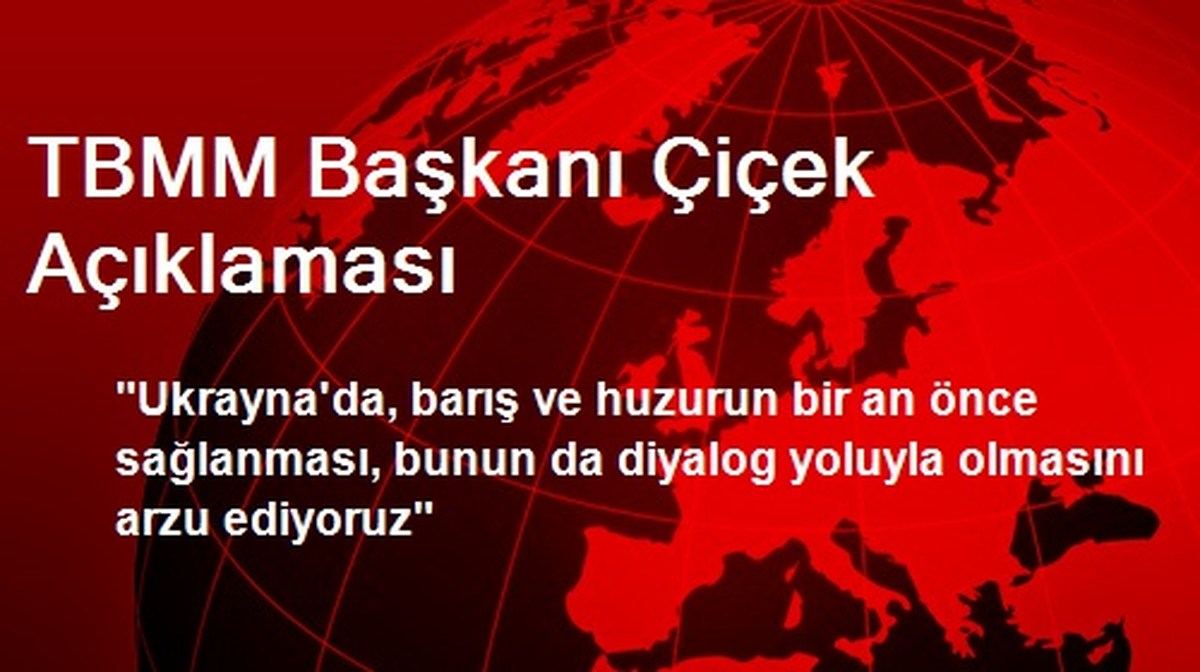 TBMM Başkanı Çiçek Açıklaması