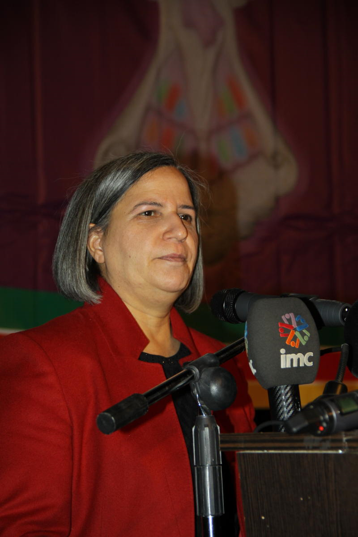 BDP Genel Başkan Yardımcısı Kışanak Açıklaması
