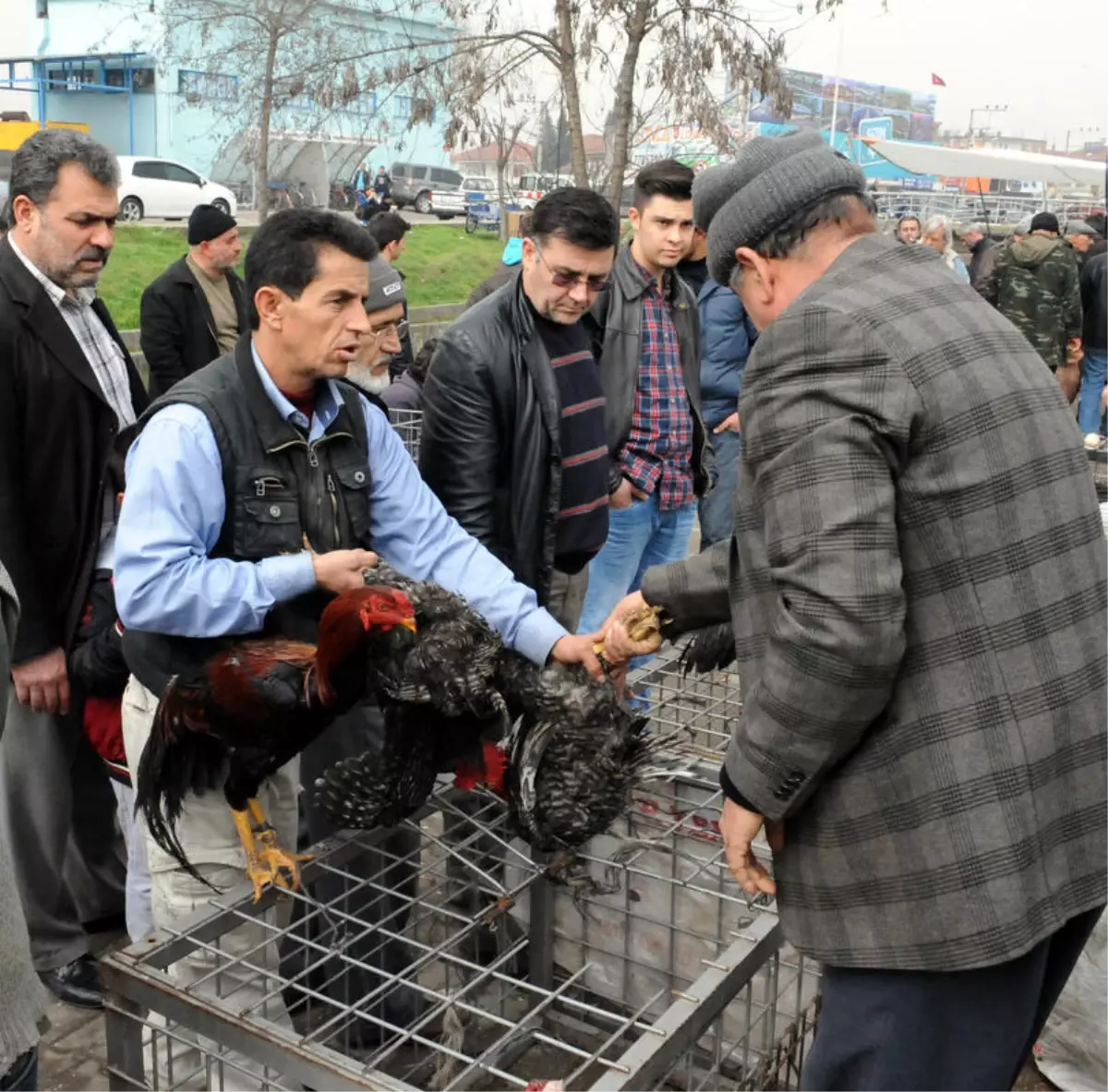 Kuş Meraklıları, Pazarda Buluşuyor