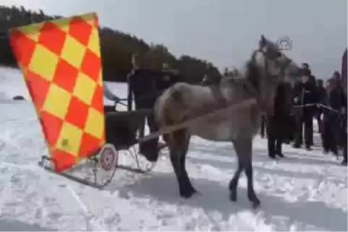 Palandöken\'in Zirvesinde Atlı Kızak Yarışları