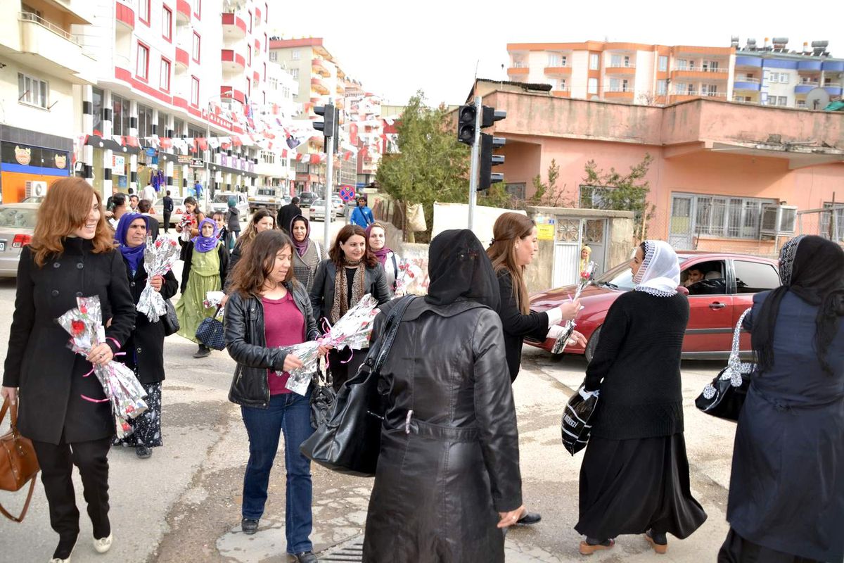 Siirtli Kadınlar Karanfil Dağıttı