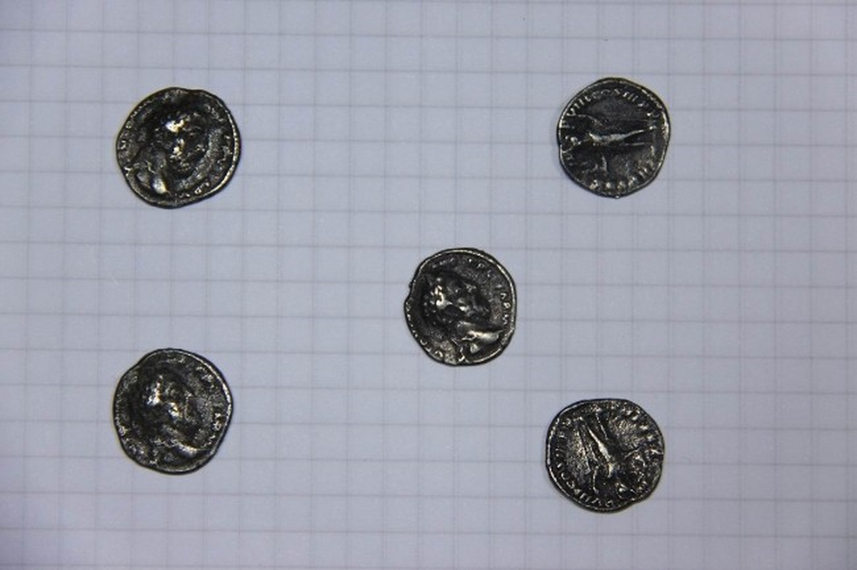 Erzincan\'da Roma Dönemine Ait Sikke Ele Geçirildi